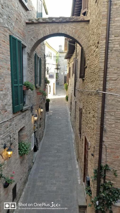 Appartamento nido di montone Esterno foto