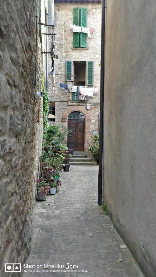 Appartamento nido di montone Esterno foto